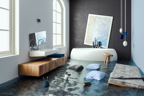 Best Water damage cleanup near me  in Dimondale, MI