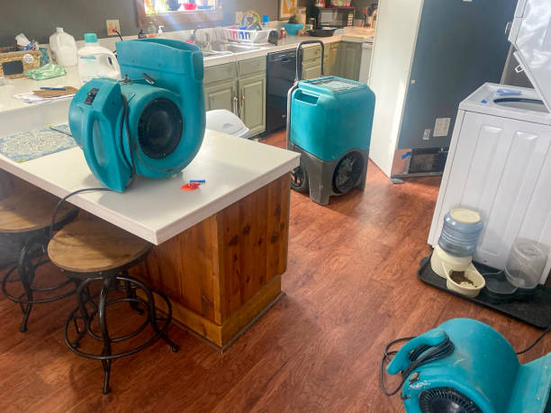 Carpet water damage restoration in Dimondale, MI