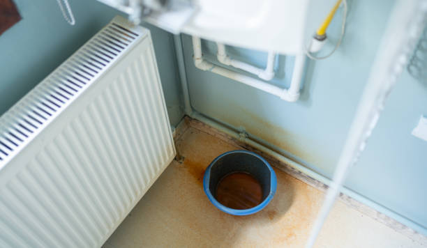 Water damage restoration mold remediation in Dimondale, MI